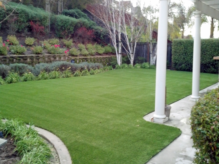 Lawn Services Sierra Vista, Arizona City Landscape, Backyard Landscape Ideas