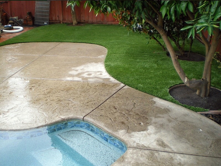 Outdoor Carpet Congress, Arizona Design Ideas, Backyard Garden Ideas