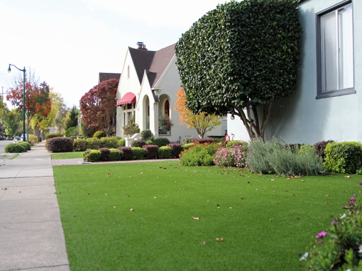 Outdoor Carpet Crozier, Arizona Gardeners, Front Yard