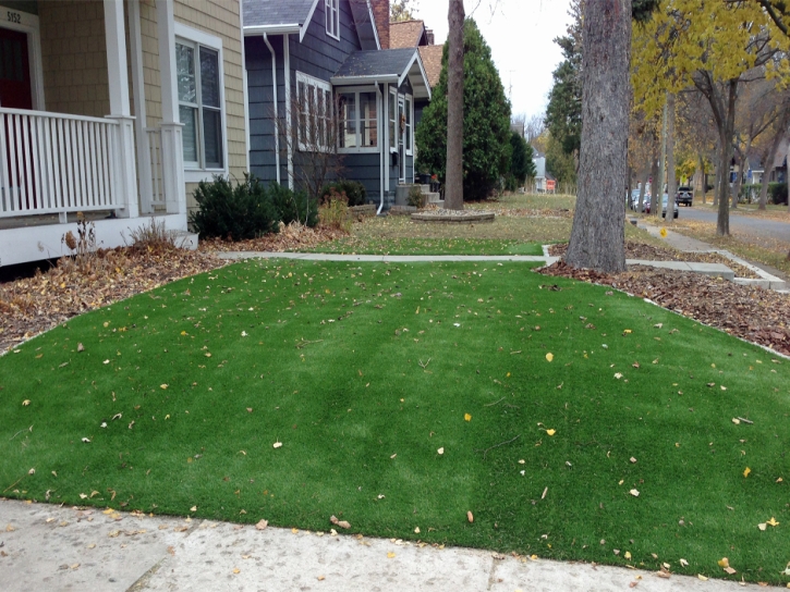 Outdoor Carpet Taylor, Arizona Landscaping, Front Yard Ideas