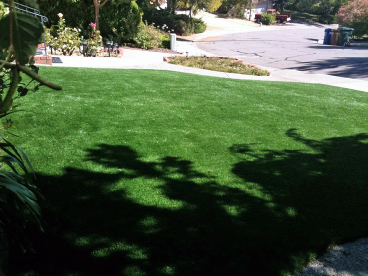 Outdoor Carpet Willow Canyon, Arizona Landscape Ideas, Front Yard Landscaping Ideas