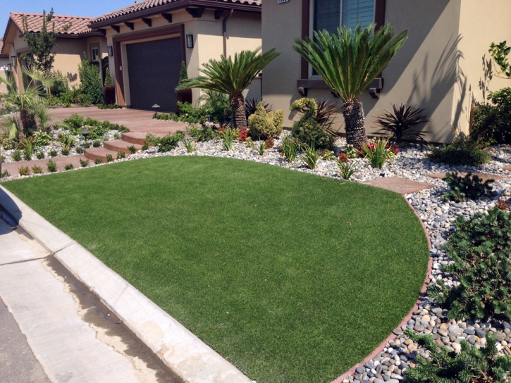 Plastic Grass Haivana Nakya, Arizona Rooftop, Front Yard Ideas