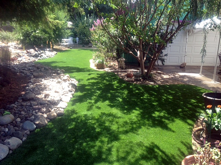 Plastic Grass Pinedale, Arizona City Landscape, Backyard Designs