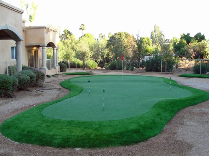 Synthetic Grass Alpine, Arizona Office Putting Green, Backyard Design