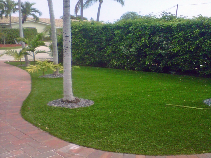 Synthetic Grass Arivaca Junction, Arizona Backyard Deck Ideas, Front Yard Landscaping