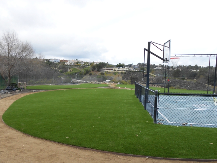 Synthetic Grass Cost Cave Creek, Arizona Red Turf, Commercial Landscape