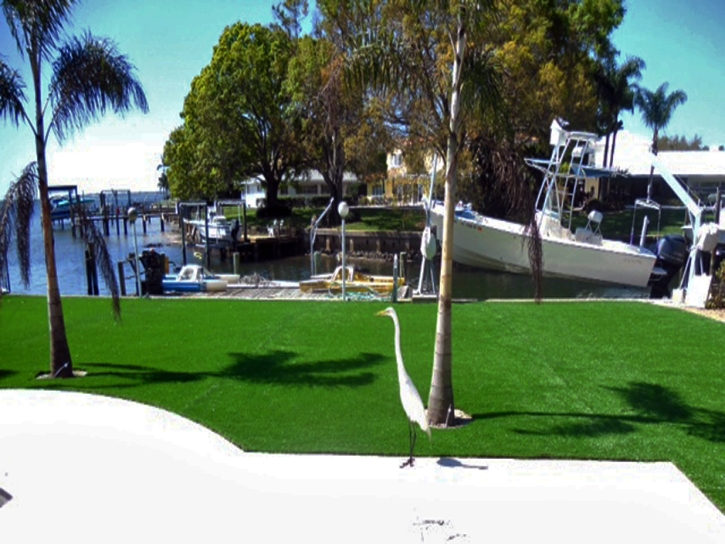 Synthetic Grass Cost Tolleson, Arizona Design Ideas, Backyard Landscaping Ideas