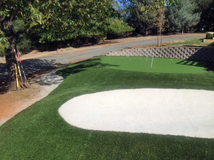 Synthetic Grass Cost Tonto Basin, Arizona Putting Green Flags, Front Yard