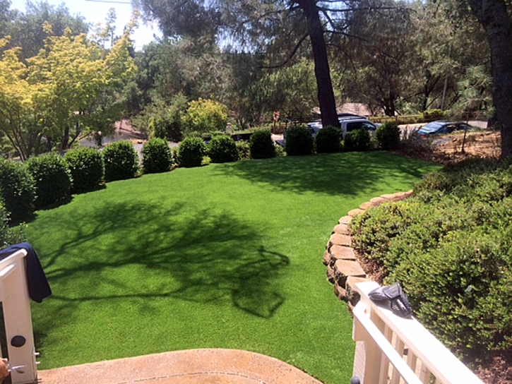 Synthetic Grass Cowlic, Arizona Lawn And Landscape, Small Backyard Ideas