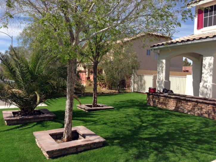 Synthetic Grass Patagonia, Arizona Garden Ideas, Front Yard Design