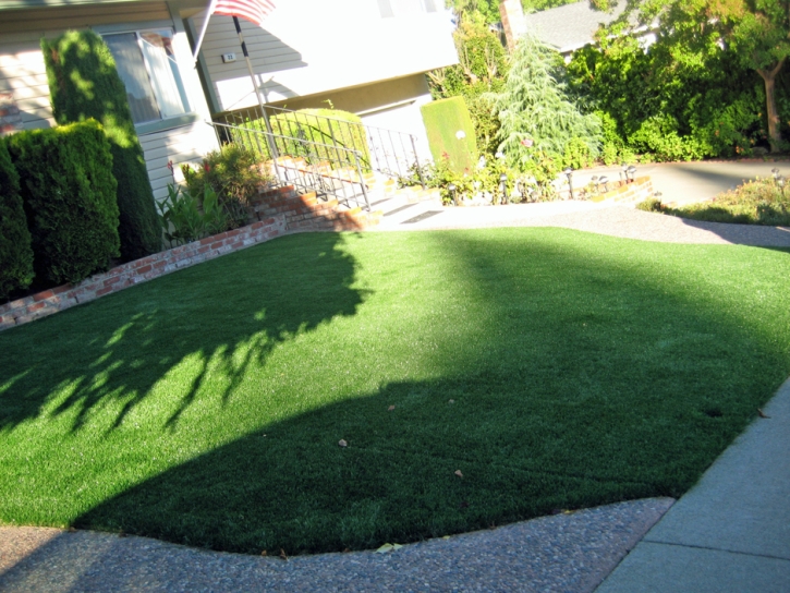 Synthetic Grass Summerhaven, Arizona Garden Ideas, Front Yard Landscaping Ideas