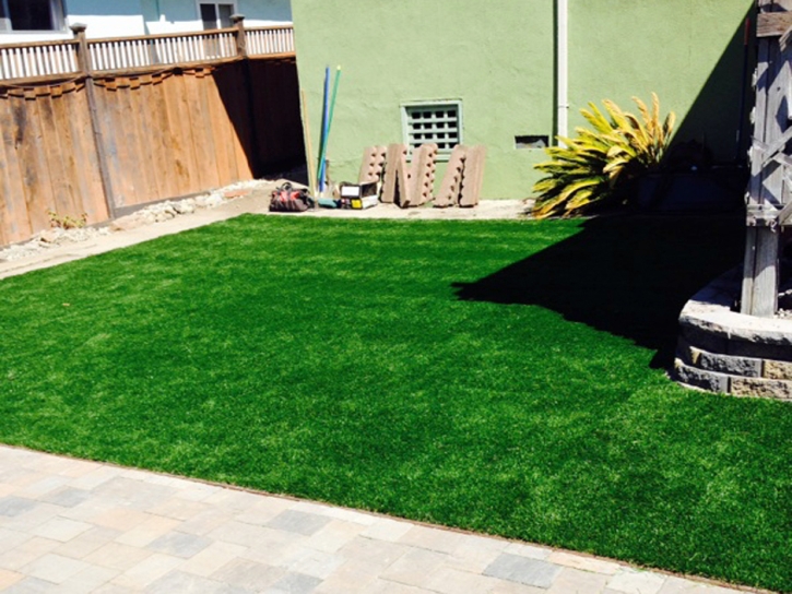 Synthetic Grass Toyei, Arizona Roof Top, Backyards