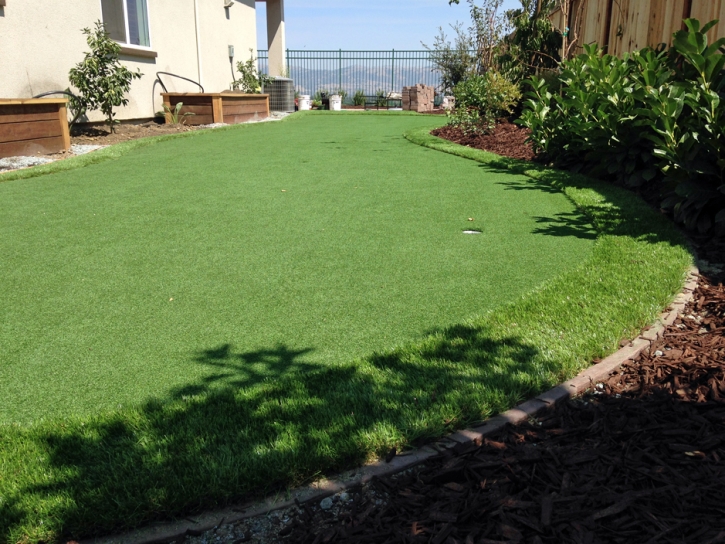 Synthetic Lawn Comobabi, Arizona Landscaping, Backyard