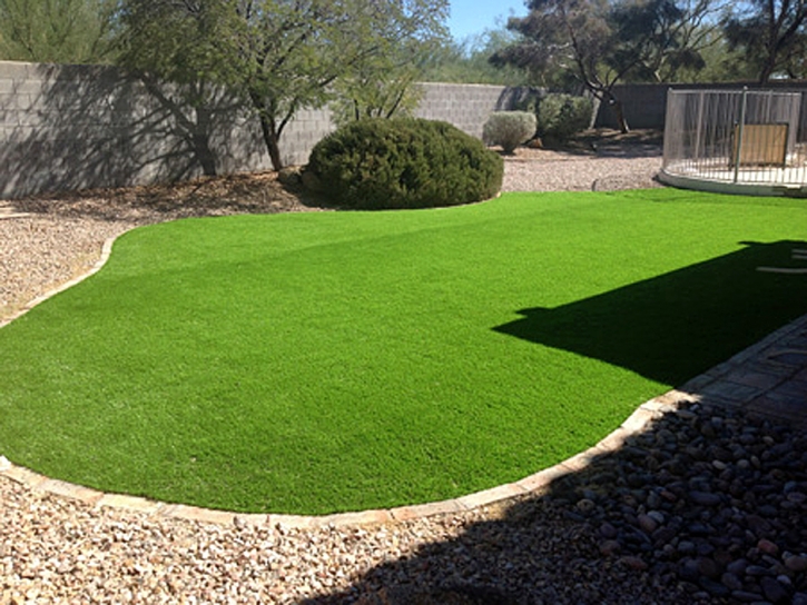 Synthetic Lawn Littletown, Arizona Lawn And Garden, Backyard Design