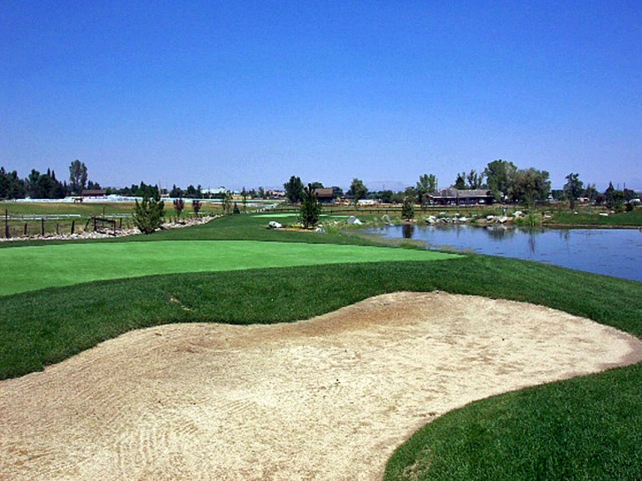 Synthetic Lawn Low Mountain, Arizona Putting Green Carpet, Beautiful Backyards