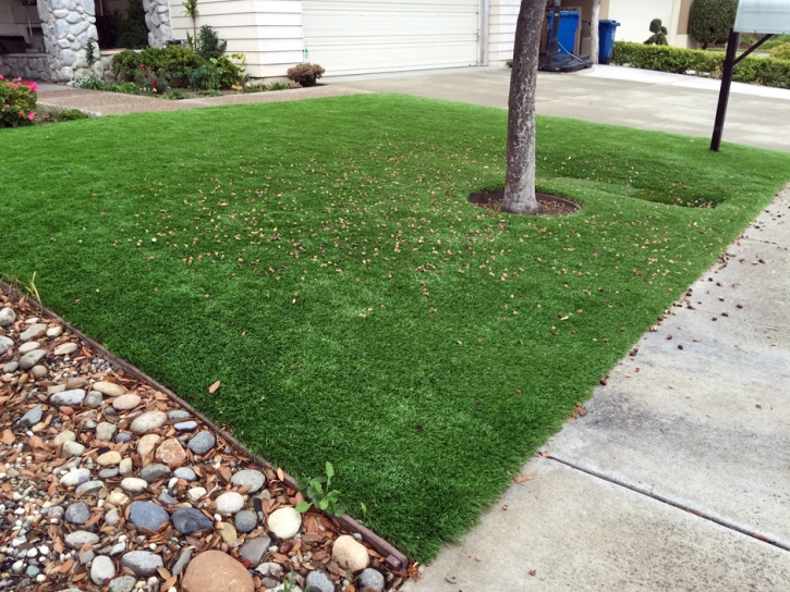 Synthetic Lawn McNeal, Arizona Lawn And Landscape, Front Yard Design