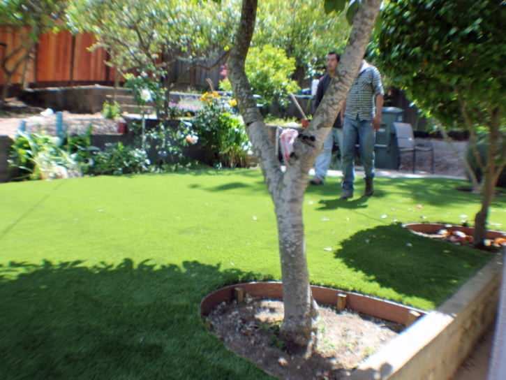 Synthetic Lawn Oxbow Estates, Arizona Landscaping Business, Backyard Landscaping