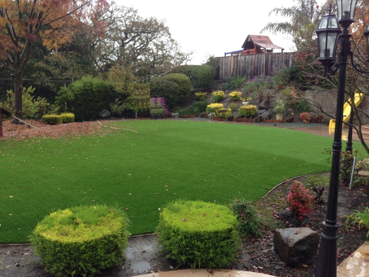 Synthetic Lawn Sedona, Arizona Gardeners, Backyard Designs