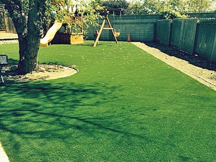 Synthetic Lawn Shungopavi, Arizona Landscape Ideas, Backyard