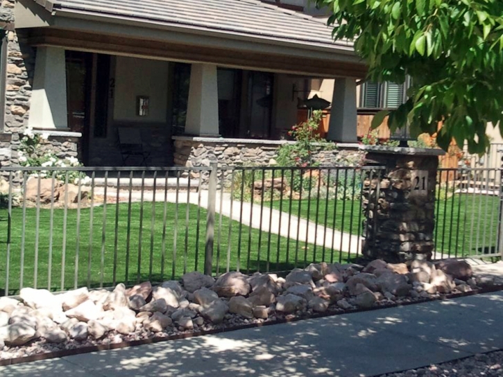 Synthetic Lawn South Tucson, Arizona Garden Ideas, Small Front Yard Landscaping