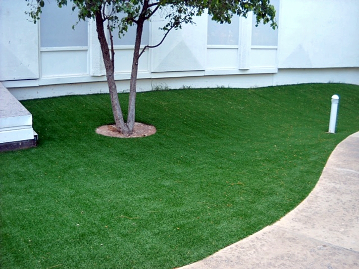 Synthetic Lawn West Sedona, Arizona Backyard Playground, Commercial Landscape