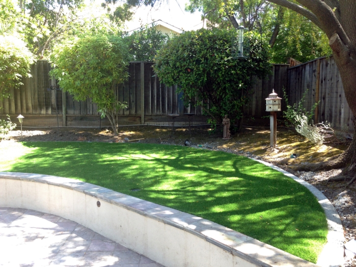 Synthetic Lawn Williamson, Arizona Home And Garden, Commercial Landscape