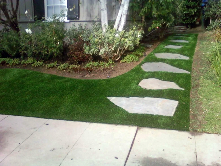 Synthetic Turf Fort Thomas, Arizona City Landscape, Small Front Yard Landscaping