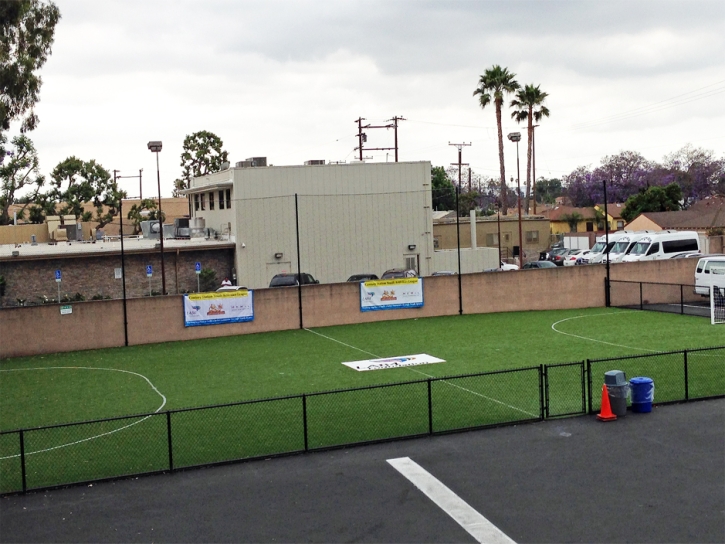 Synthetic Turf Gisela, Arizona Red Turf, Commercial Landscape