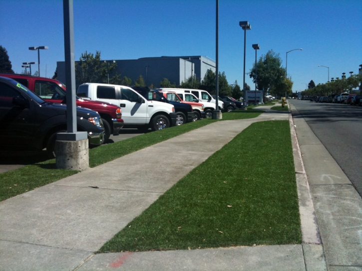 Synthetic Turf Supplier Arlington, Arizona Gardeners, Commercial Landscape