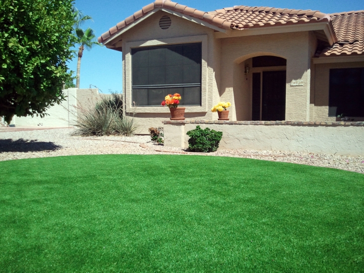 Synthetic Turf Supplier Bylas, Arizona Roof Top, Front Yard Design