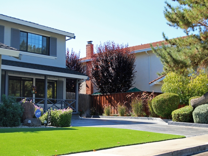 Synthetic Turf Supplier Patagonia, Arizona Roof Top, Small Front Yard Landscaping