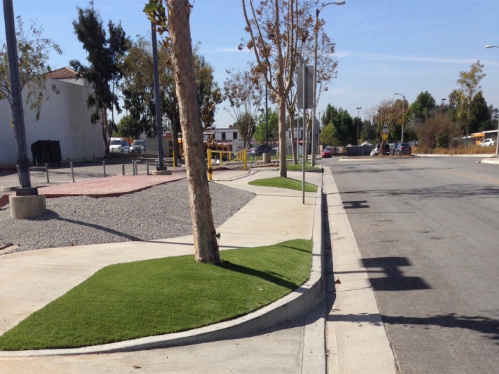 Synthetic Turf Supplier Safford, Arizona Design Ideas, Commercial Landscape