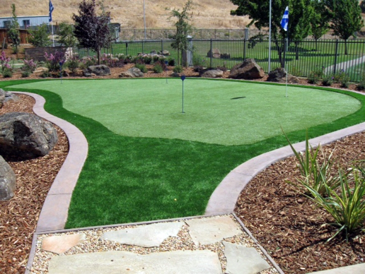 Synthetic Turf Supplier Wide Ruins, Arizona Backyard Deck Ideas, Backyards