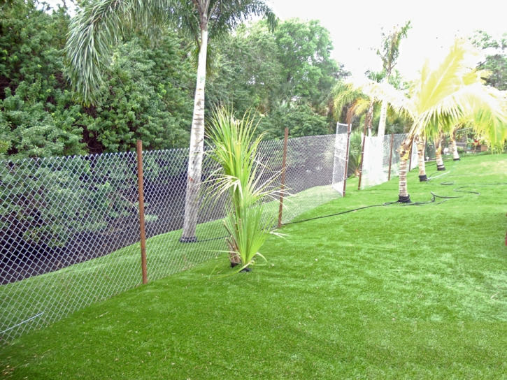 Synthetic Turf Willcox, Arizona Landscaping Business, Backyards