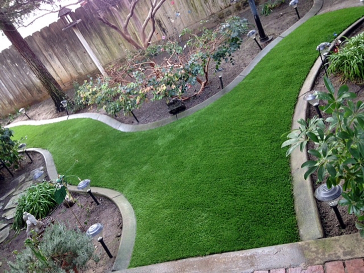 Turf Grass Florence, Arizona Rooftop, Backyard Designs