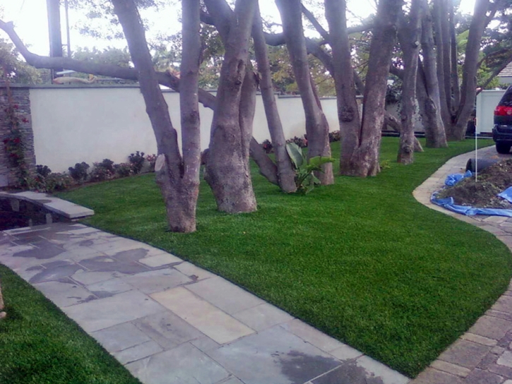 Turf Grass Goodyear, Arizona Home And Garden, Small Front Yard Landscaping