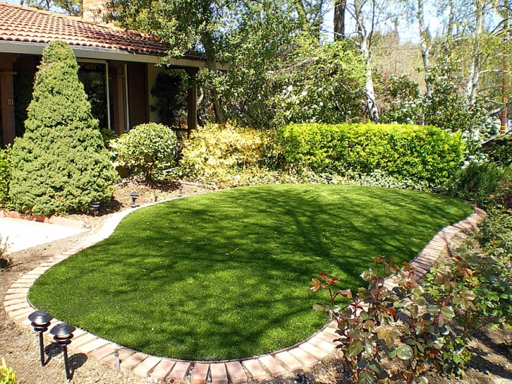 Turf Grass Grand Canyon Village, Arizona Roof Top, Backyard Makeover