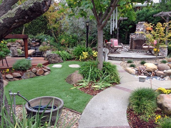 Turf Grass Pimaco Two, Arizona City Landscape, Backyard Ideas