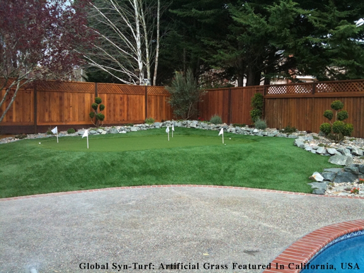 Turf Grass Queen Creek, Arizona Diy Putting Green, Backyard Landscape Ideas