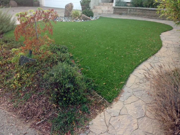 Turf Grass Tombstone, Arizona Paver Patio, Backyards