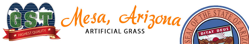 Artificial Grass Mesa, Arizona